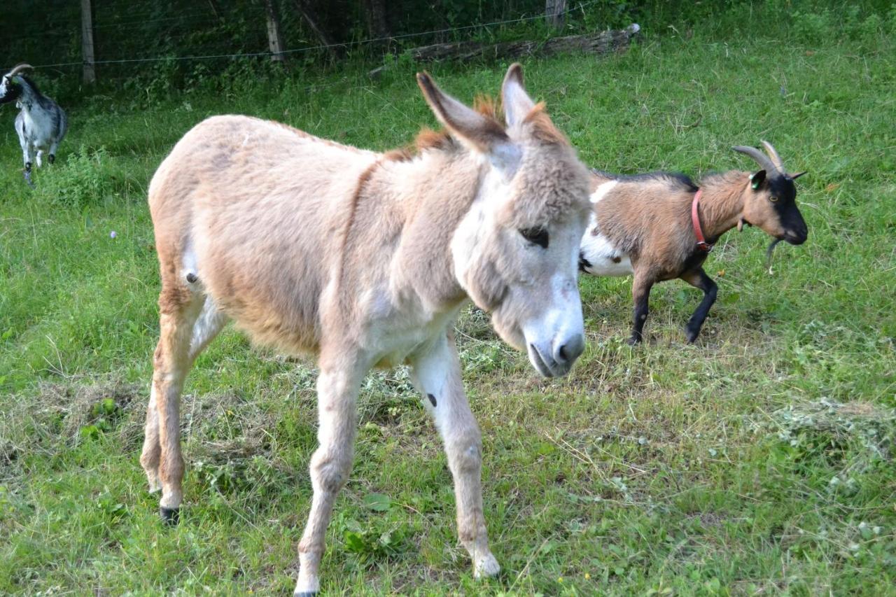 Le Paradis Des Animaux Coublevie Екстериор снимка